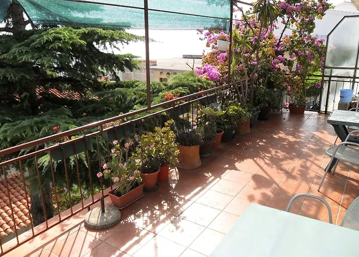 Apartament Dobrinic *